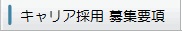キャリア採用 募集要項
